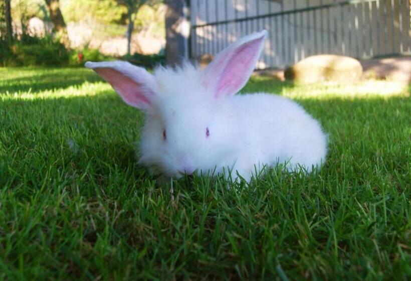 Hotelli Agriturismo Satanca