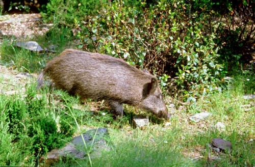 Hotelli Agriturismo Satanca