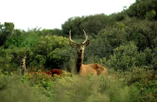 ホテル Agriturismo Satanca