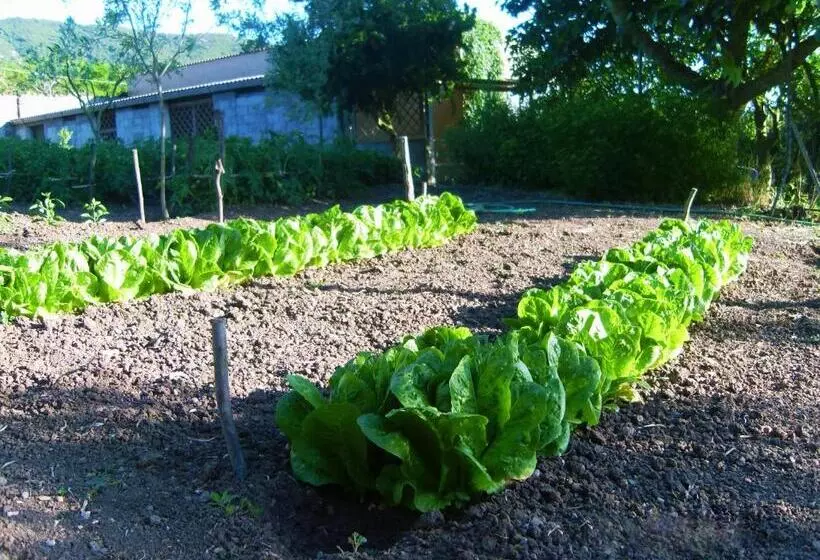 ホテル Agriturismo Satanca