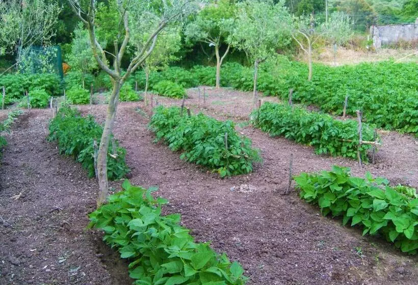 ホテル Agriturismo Satanca