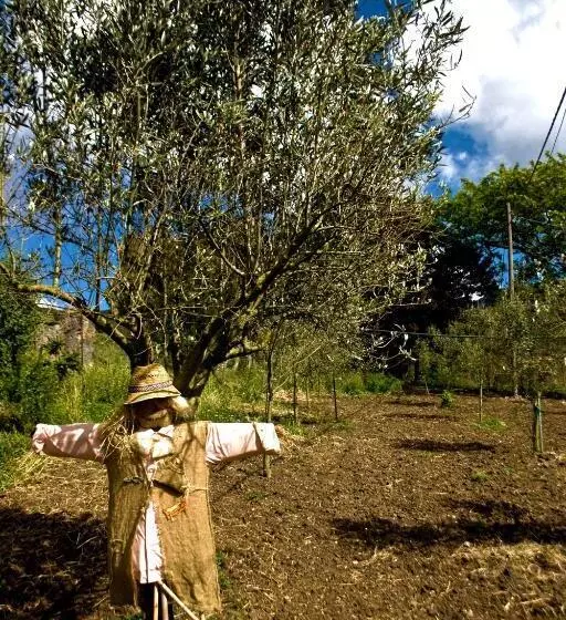 ホテル Agriturismo Satanca