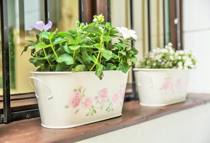 Pension Eden Center Home