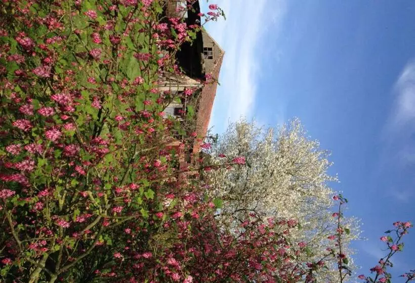 B&b Bekersveld