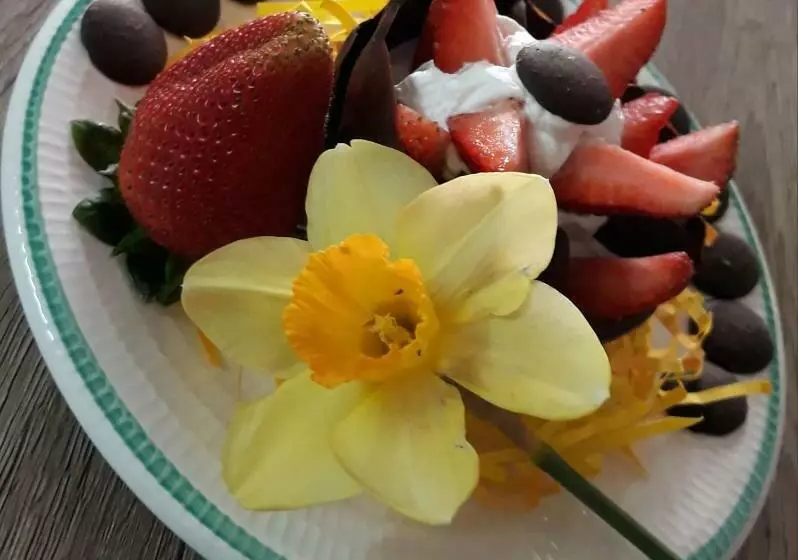 ベッドアンドブレックファースト Ba.lù