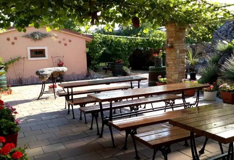 ペンション Penzion Moravská Oáza