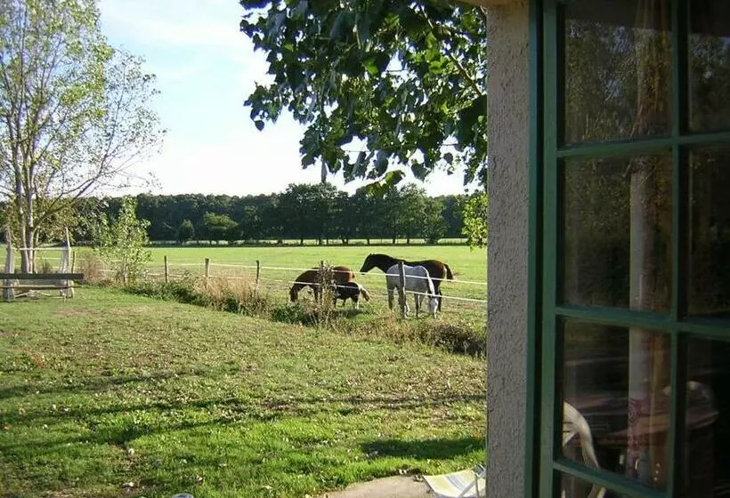 Aamiaismajoitus (B&B) Chambre D Hôte De L élevage Du Lattay