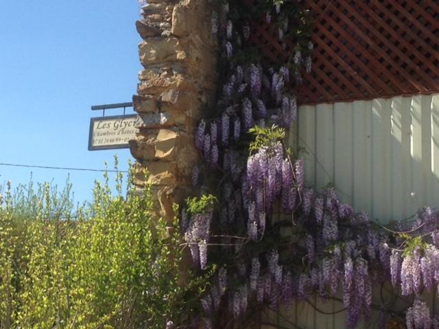 Bed and Breakfast Les Glycines