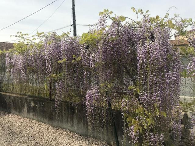 Bed and Breakfast Les Glycines