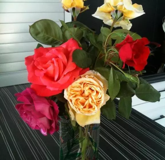 Aamiaismajoitus (B&B) Villa Des Oliviers