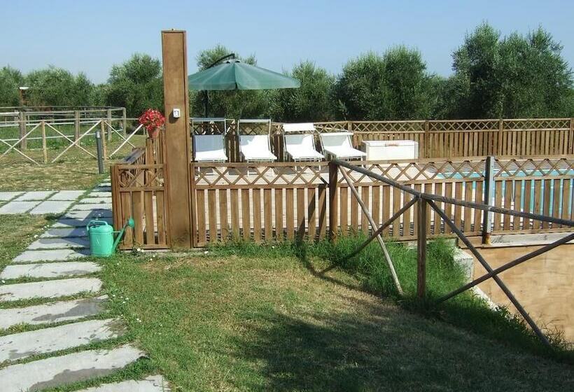 酒店 Agriturismo La Casa Della Lavanda Il Rustico