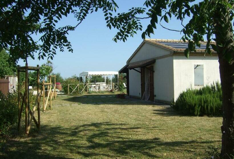 酒店 Agriturismo La Casa Della Lavanda Il Rustico