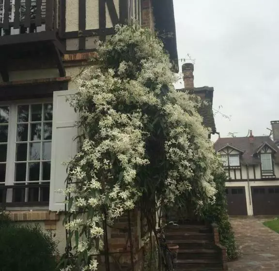 Majatalo Maison D Hôtes Paris Riverside