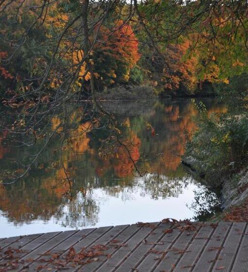 پانسیون Maison D Hôtes Paris Riverside
