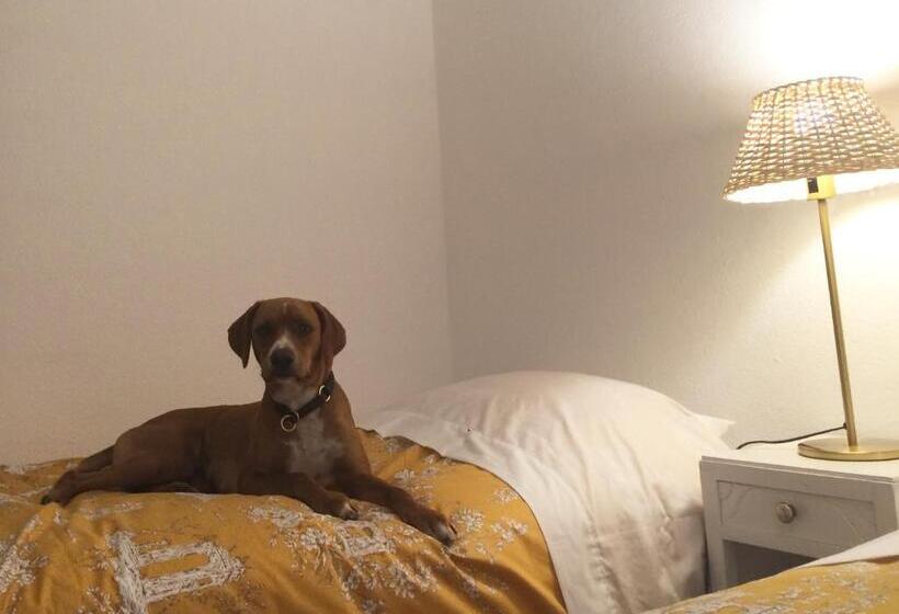 הוסטל Inn Golegã