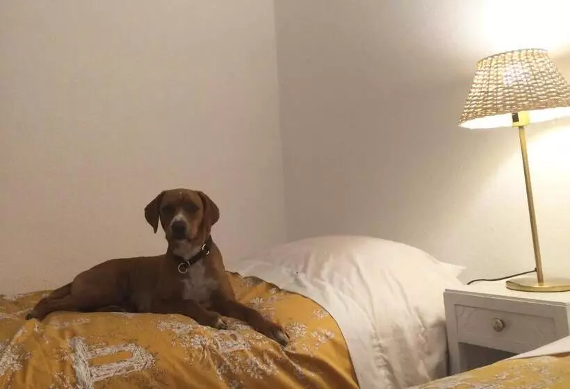 Retkeilymaja Inn Golegã