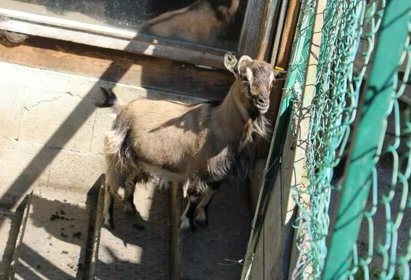 ホテル Watscherhof