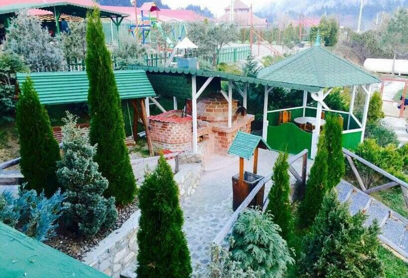 פנסיון Vila Horia Bradet