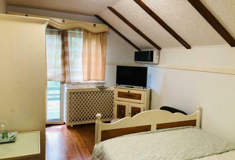 פנסיון Vila Horia Bradet