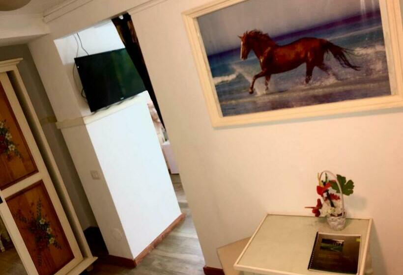 פנסיון Vila Horia Bradet