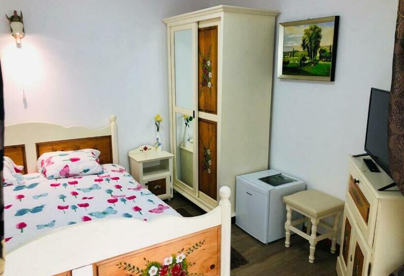 פנסיון Vila Horia Bradet