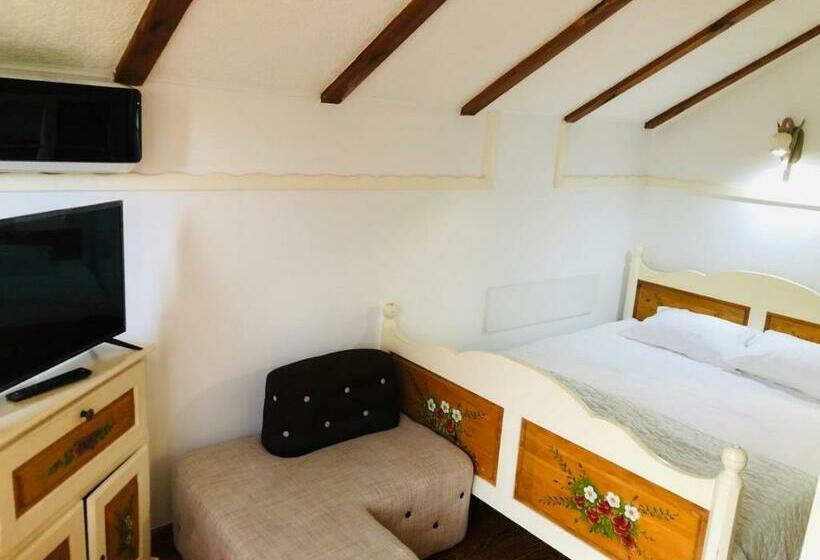 פנסיון Vila Horia Bradet