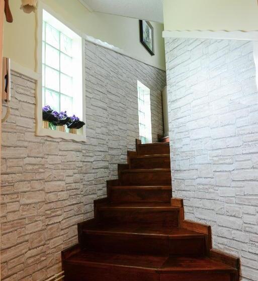 פנסיון Vila Horia Bradet