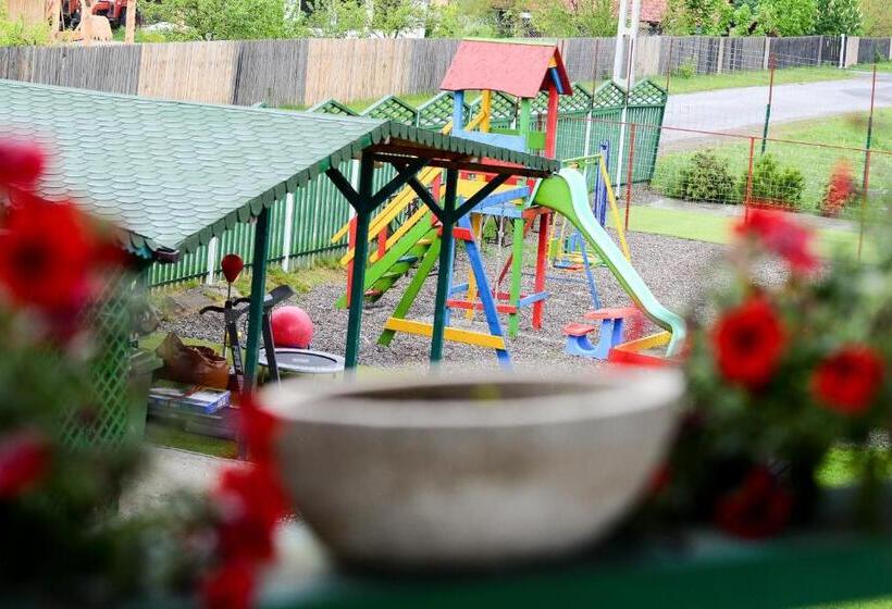 פנסיון Vila Horia Bradet