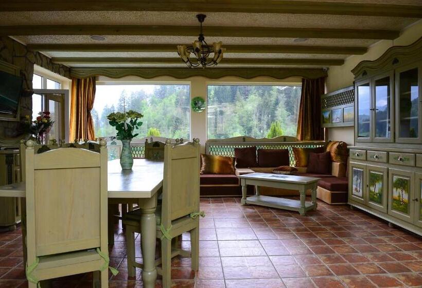 פנסיון Vila Horia Bradet