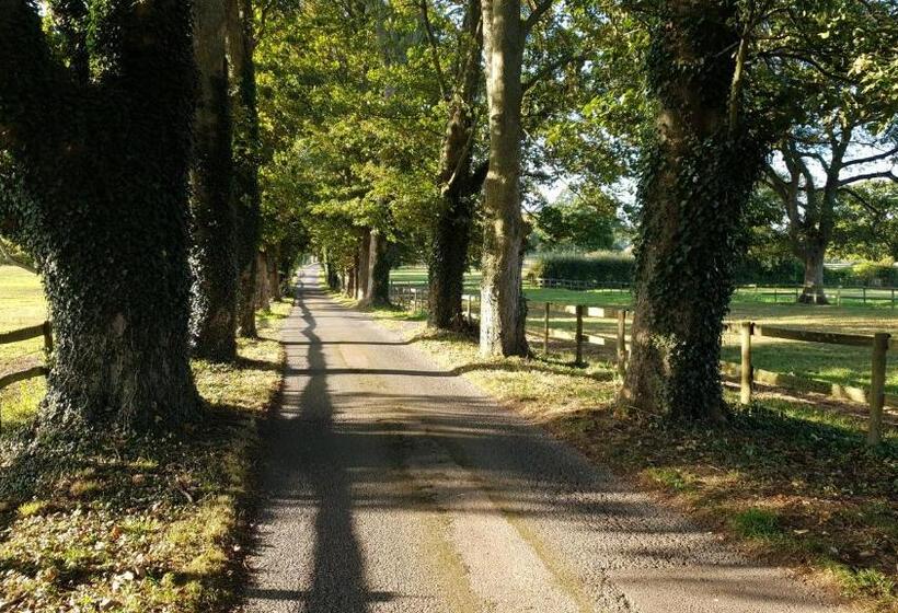 فندق Farnham House