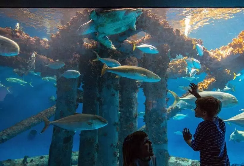 Отель Staybridge Suites Corpus Christi, An Ihg