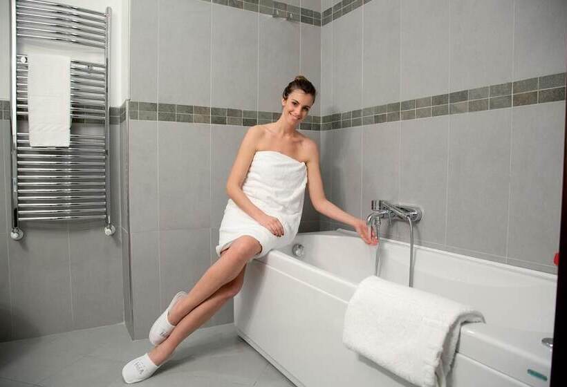 ホテル Vercelli Palace