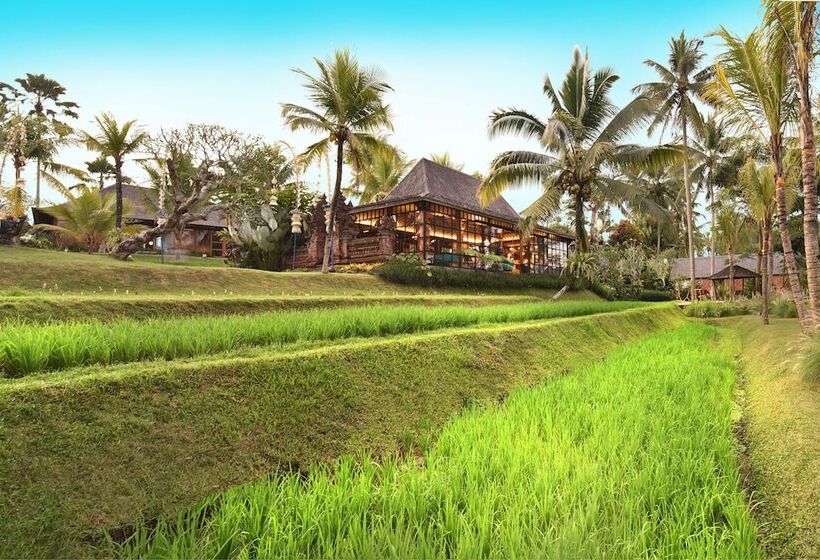 Kurort  Chapung Sebali