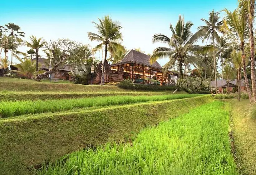 אתר נופש Chapung Sebali