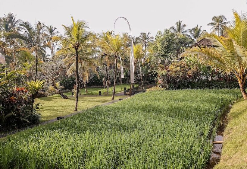 Kurort  Chapung Sebali