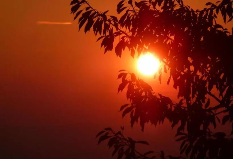 Aamiaismajoitus (B&B) Studio Elegant