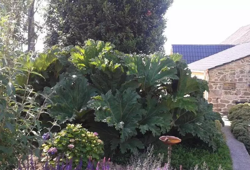 Aamiaismajoitus (B&B) Gîte Ti Maes