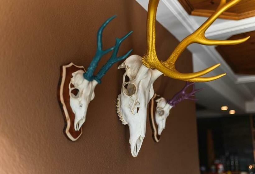 ホテル Restaurant Alber