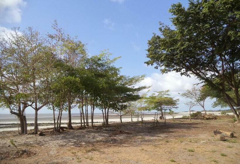 膳宿费 Chateu Soneca