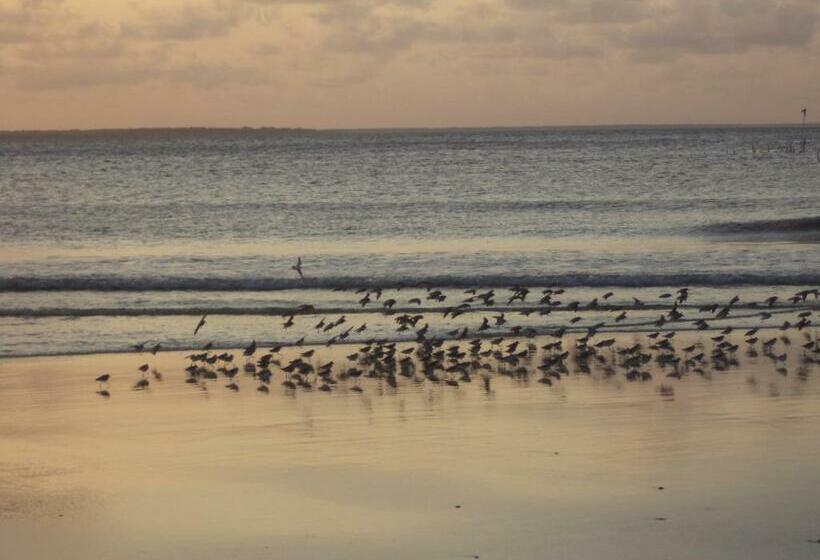 膳宿费 Chateu Soneca