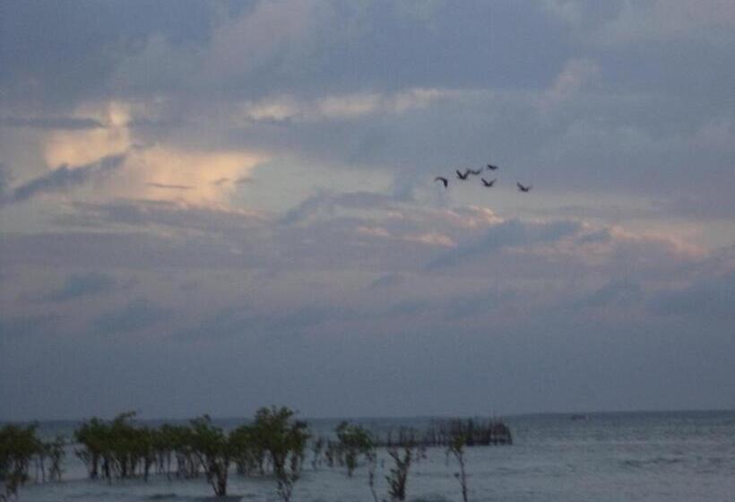 膳宿费 Chateu Soneca