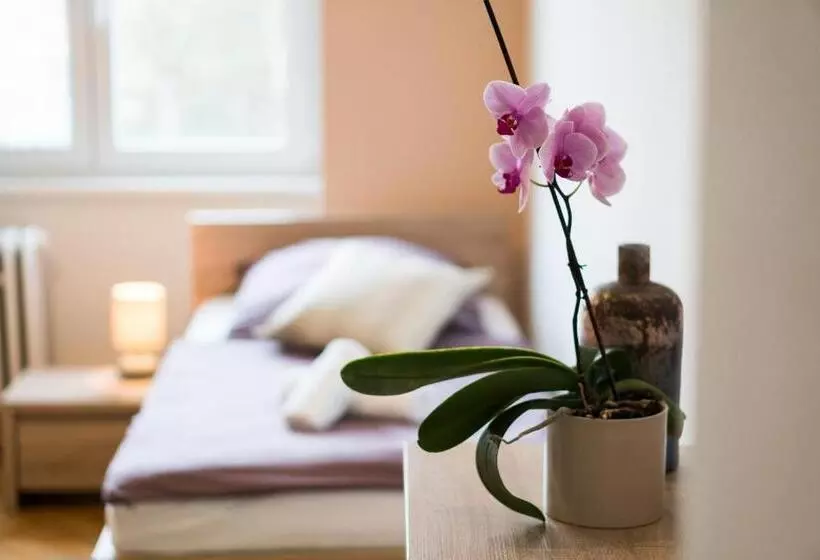 Pensão Penzion Staré Louny