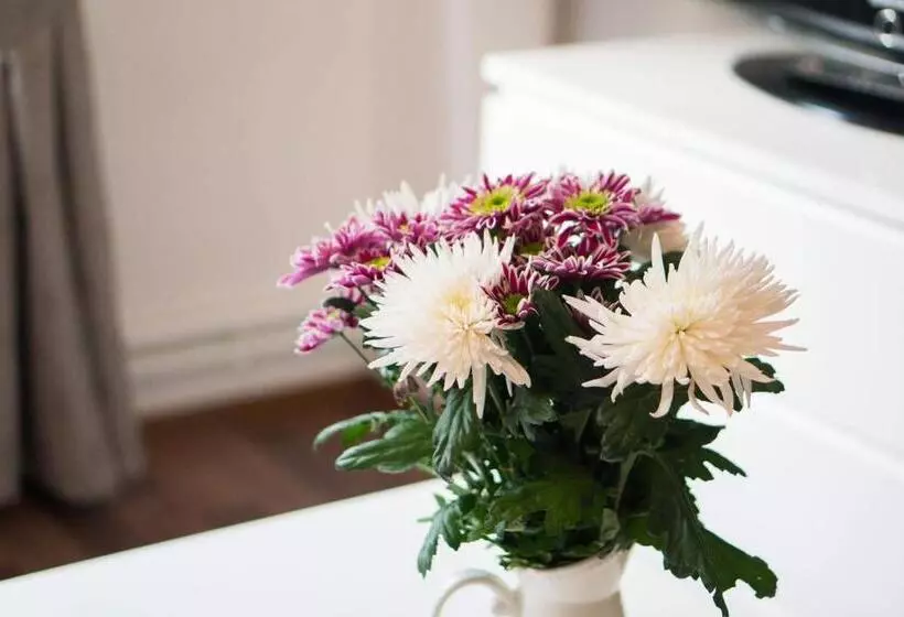 Pensão Penzion Staré Louny