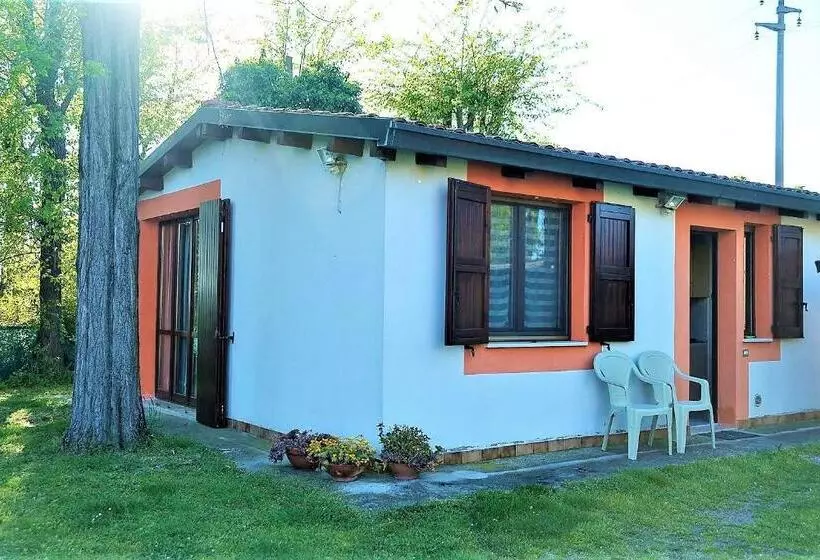 B&b La Mia Oasi