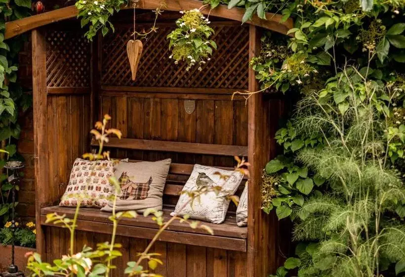 Aamiaismajoitus (B&B) Albert House