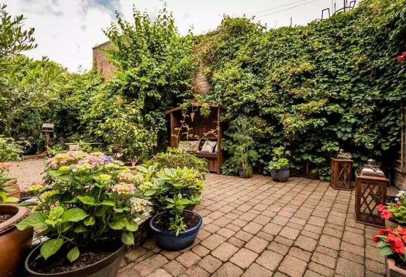 Aamiaismajoitus (B&B) Albert House