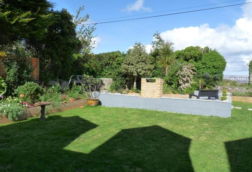 Gwyndaf Bed And Breakfast