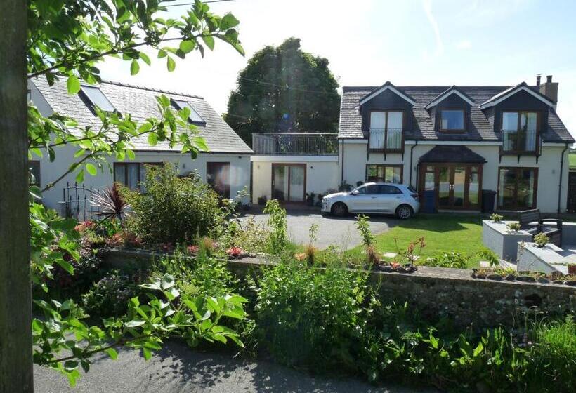 Gwyndaf Bed And Breakfast