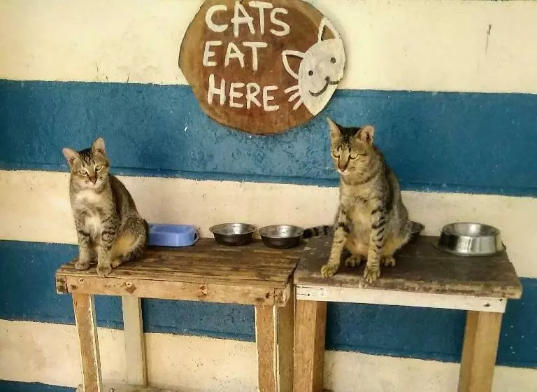 リゾートホテル Paseo Del Mar Seaside Inn