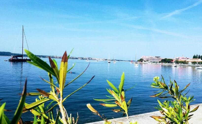 پانسیون Apartment With Seaview And Garden For 6